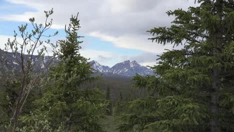 Alaska-Denali-Park-Montaña-Y-árboles