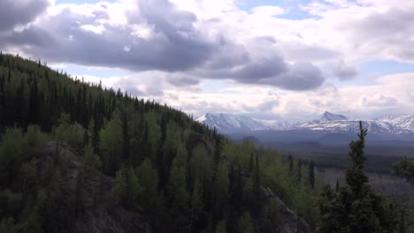 Vista-Del-Valle-De-Denali-De-Alaska-Acercar