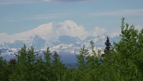 Alaska-Montaña-Distante-Sobre-Bosque