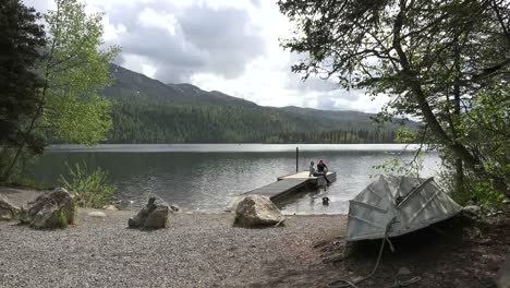 Perro-De-Alaska-Nada-A-La-Orilla-Del-Lago