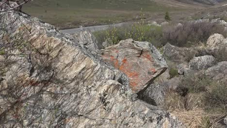 Alaska-Lichens-On-Rocks