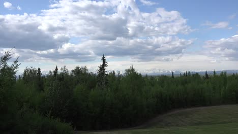 Alaska-Zoom-Zum-Mt-Denali-Vorbei-An-Bäumen