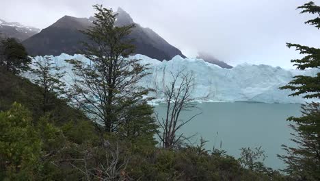 Argentinien-Bäume-Umrahmen-Gletscher