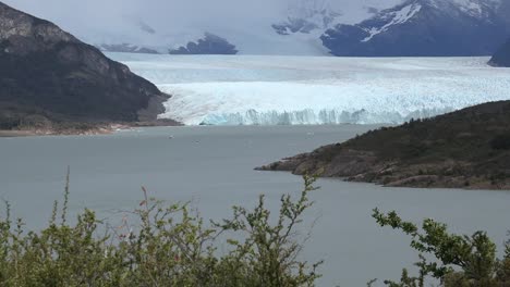 Argentina-Se-Aleja-Del-Arbusto-Al-Glaciar