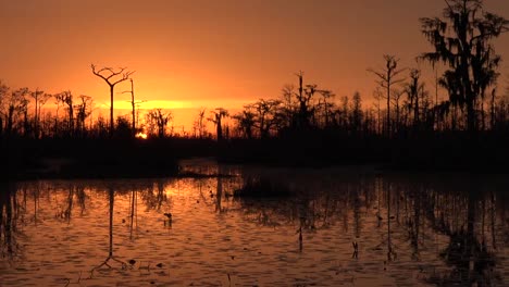 Georgia-Okefenokee-Dramatische-Untergehende-Sonne-Und-Orangefarbene-Himmelspfanne