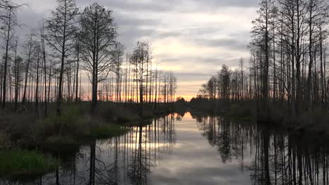 Georgia-Okefenokee-Late-Evening-Moving-Through-Swamp