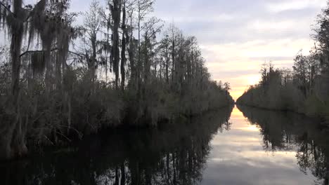 Georgia-Okefenokee-Mirando-Por-Un-Canal-A-Través-De-Cipreses