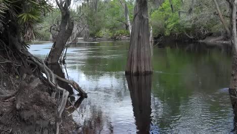 Georgia-Okefenokee-Swampy-Water-Pan