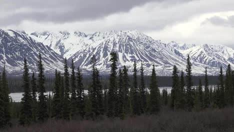 Alaska-Schneebedeckte-Berge-Und-Fichtenlinie