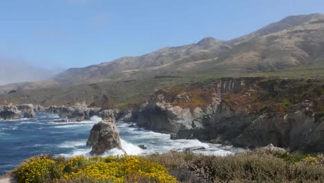 California-Big-Sur-Waves-En-Cove-En-Soberanes-Point-Con-Flores