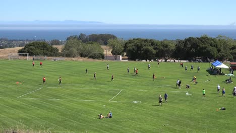 Kalifornien-Santa-Cruz-Disc-Tourney-Leute-Auf-Dem-Feld