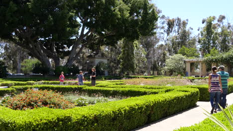 Pareja-De-California-Con-La-Carriola-Camina-Por-El-Jardín