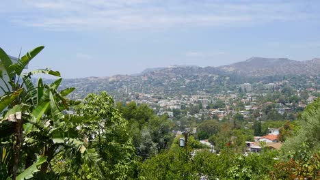 Kalifornien-Los-Angeles-Blick-Auf-Wohnviertel-Und-Bäume