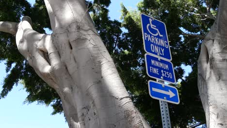 California-Tree-Next-To-Sign