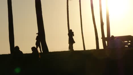 Los-Angeles-Venice-Beach-Mit-Hintergrundbeleuchtung-Mädchen-Fotografieren-Unter-Palmen