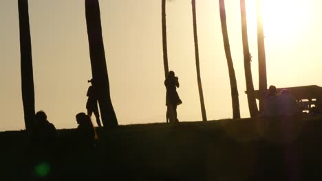 Las-Niñas-Con-Luz-De-Fondo-De-La-Playa-De-Los-Angeles-Venecia-Tomando-Fotos-Entre-Palmeras