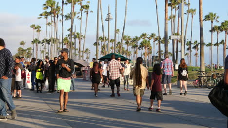 Paseo-Marítimo-De-Los-Angeles-Venice-Beach-En-Horizon-Ave