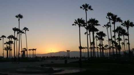 Los-Angeles-Venecia-Beach-Park-Y-Palmeras-Después-Del-Atardecer