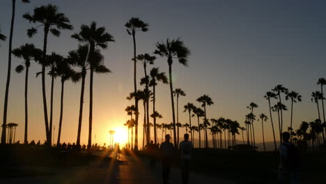 Atardecer-Del-Parque-De-La-Playa-De-Los-Angeles-Venecia-Detrás-De-Palmeras-Retroiluminadas