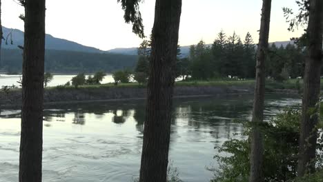 Oregon-Columbia-River-And-Trees-Evening-Pan-And-Zoom