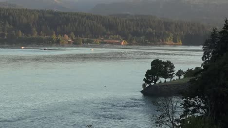 Los-árboles-De-Oregon-Y-El-Río-Columbia-Se-Alejan