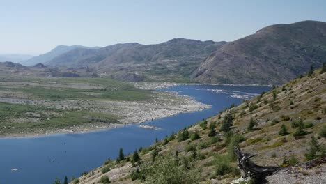 Washington-Tocón-Flores-Y-Espíritu-Lago-Se-Aleja