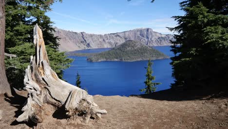 Oregon-Kratersee-Baumwurzelrahmen-Zauberinsel