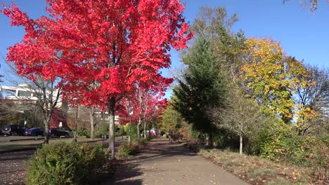 Oregon-Mann-Auf-Einem-Fahrrad-Im-Herbst