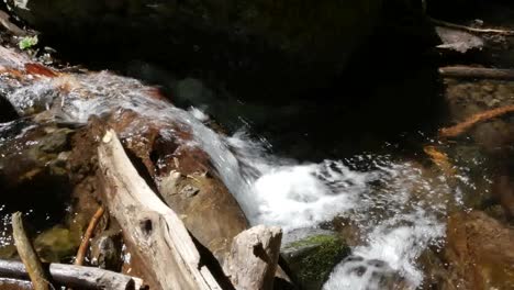 Oregon-Klebt-Felsen-Und-Wasserpfanne-And