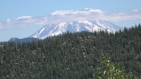 Washington-Mount-Adams-Jenseits-Des-Waldes