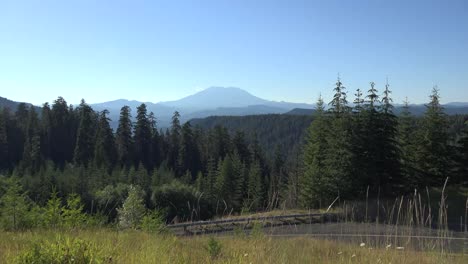 Washington-Mt-St-Helens-With-Trees