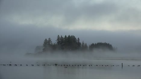 Isla-De-Washington-En-Lapso-De-Tiempo-De-Niebla