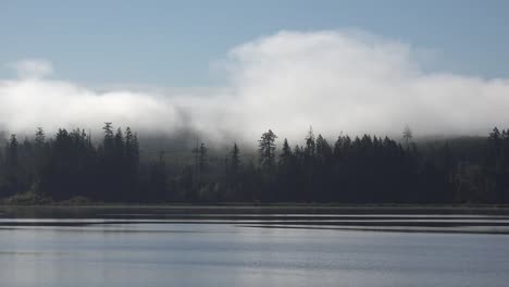 Washington-Morgennebel-Auf-Einem-Hügel-On