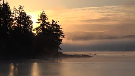 Washington-Morgennebel-Steigt-Bei-Sonnenaufgang