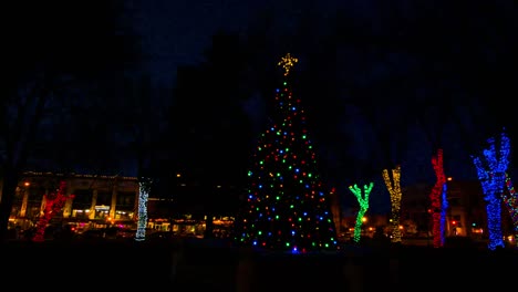 Arizona-Weihnachtsbaum-Mit-Lichtern-In-Der-Nacht