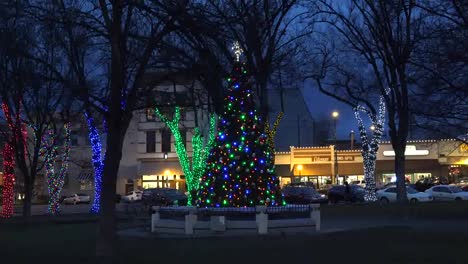 Arizona-Prescott-Christmas-Tree