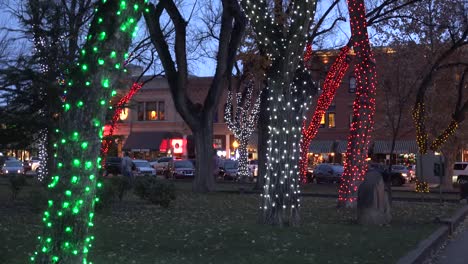 Arizona-Prescott-Bäume-Mit-Weihnachtsbeleuchtung
