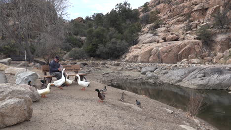 Arizona-Man-With-Goose-On-Lap-Sound