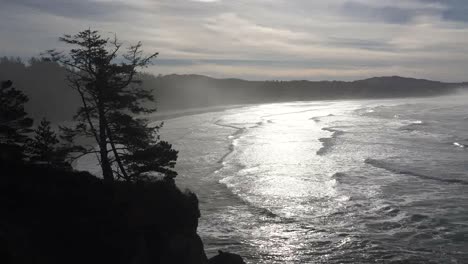 Oregon-Baum-Und-Silbernes-Meer-Bei-Otter-Rock