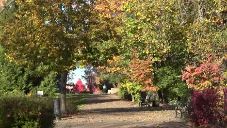 Oregon-Mujer-Caminando-Por-Sendero-En-Otoño