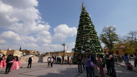 Mexiko-Dolores-Hidalgo-Weihnachtsbaum