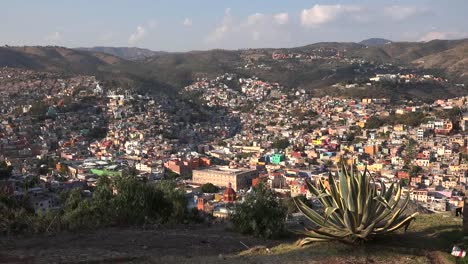 México-Guanajuato-Vista-Enmarcada-Por-Maguey