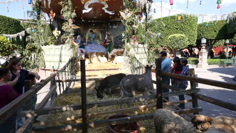 México-San-Miguel-Animales-Y-Escena-Del-Pesebre