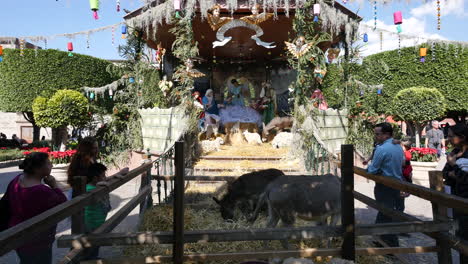 Mexico-San-Miguel-Manger-Scene-In-Plaza