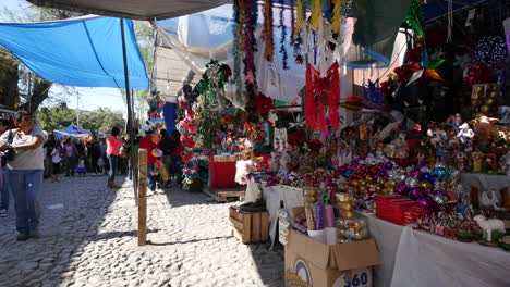 México-Mercado-De-San-Miguel-Sol-Y-Sombra