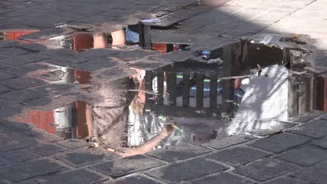 México-Tlaquepaque-Reflejo-En-Charco