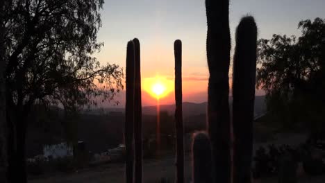 Mexico-Zooms-On-Setting-Sun