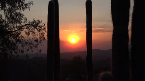 Mexiko-Zoomt-Von-Der-Sonne-Zum-Kaktus