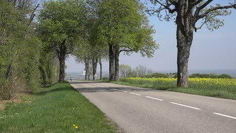 Francia-Alsacia-Motocicleta-En-Carretera-En-Primavera