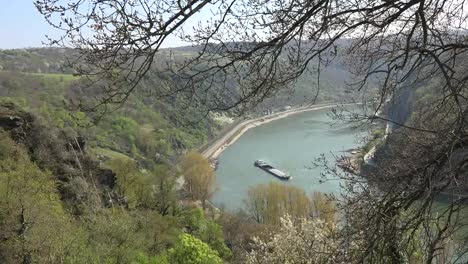 Deutschland-Rhein-Bei-Loreley-Lastkahn-Durch-Äste